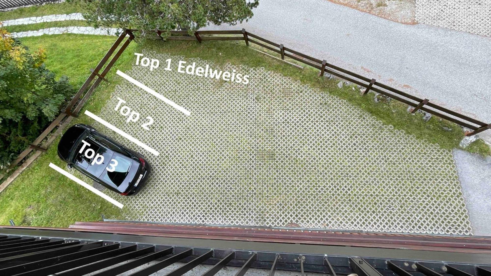 Apartment Edelweiss Jetzt Mit Sommercard Шладминг Екстериор снимка